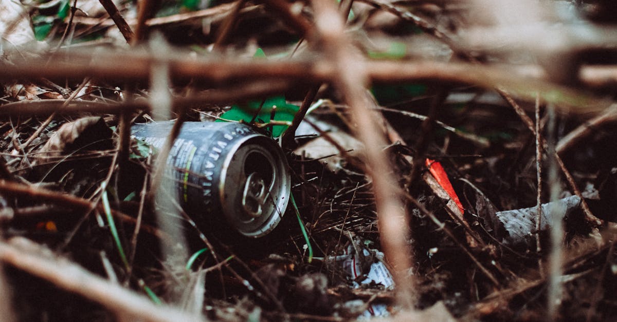 découvrez les solutions innovantes pour atteindre une zéro pollution, alliant durabilité et respect de l'environnement. explorez des initiatives écologiques qui transforment notre avenir en un monde plus sain et durable.