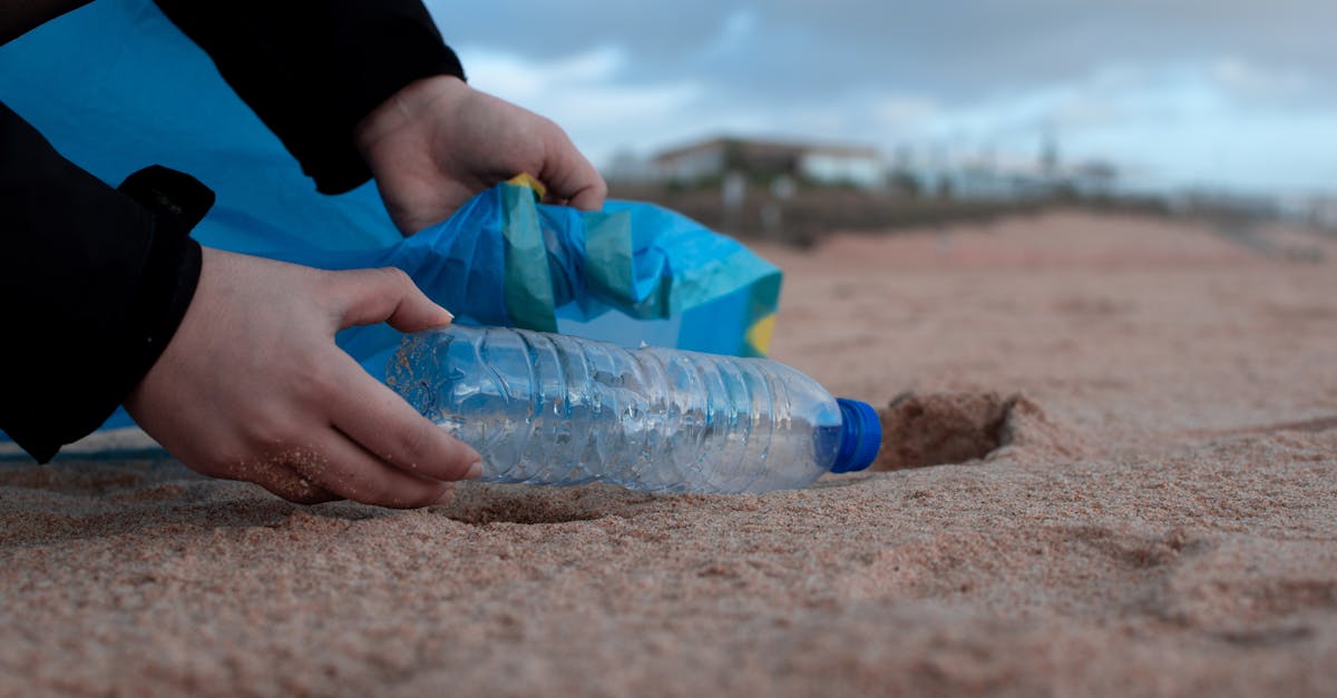 découvrez des solutions innovantes pour atteindre un monde sans pollution. explorez les initiatives écologiques, les technologies vertes et les pratiques durables qui contribuent à un avenir sain et respectueux de l'environnement.