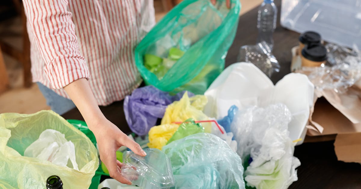 découvrez comment atteindre zéro pollution grâce à des solutions durables et des innovations écologiques. engagez-vous pour un avenir sain et préservez notre planète pour les générations futures.