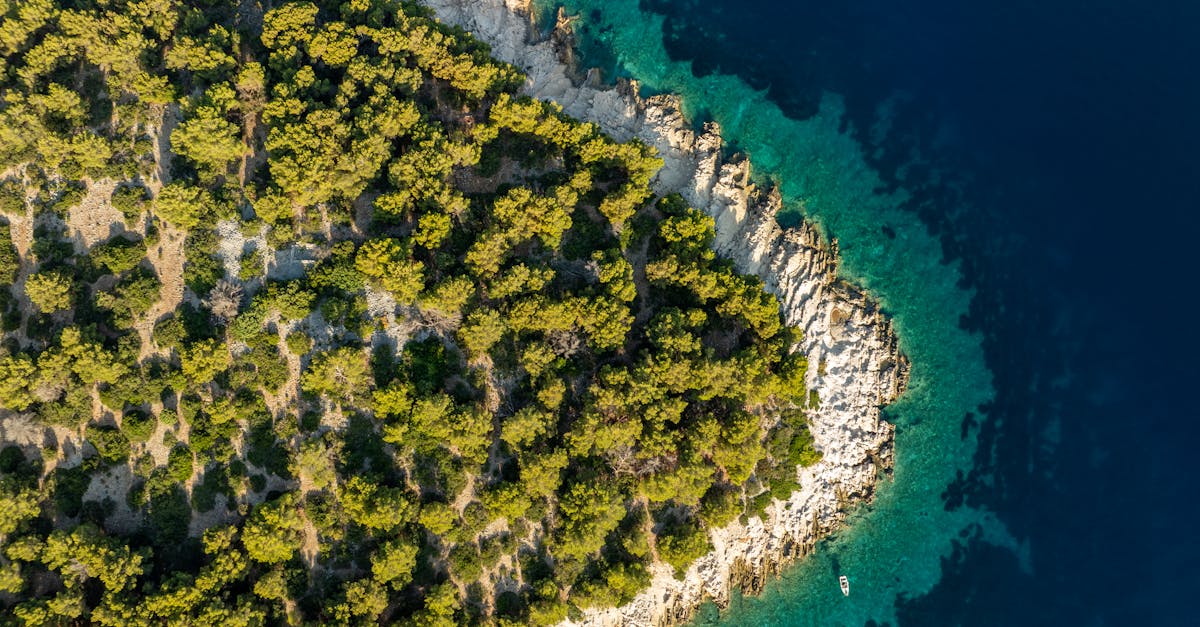 explorez la biodiversité, un concept essentiel qui englobe la variété des espèces vivantes, leur écosystème et les interactions qui les relient. découvrez son importance pour la santé de notre planète et les actions à entreprendre pour la préserver.