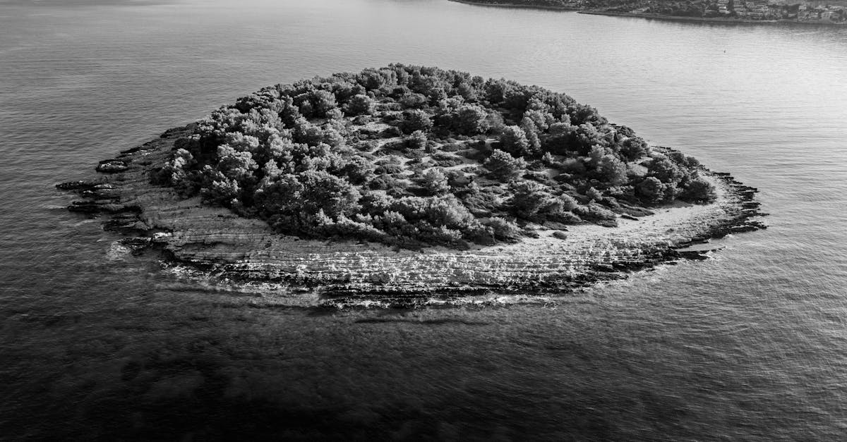 découvrez l'importance de la biodiversité pour notre planète. explorez les diverses formes de vie et leur rôle essentiel dans les écosystèmes. apprenez comment préserver cette richesse naturelle pour les générations futures.