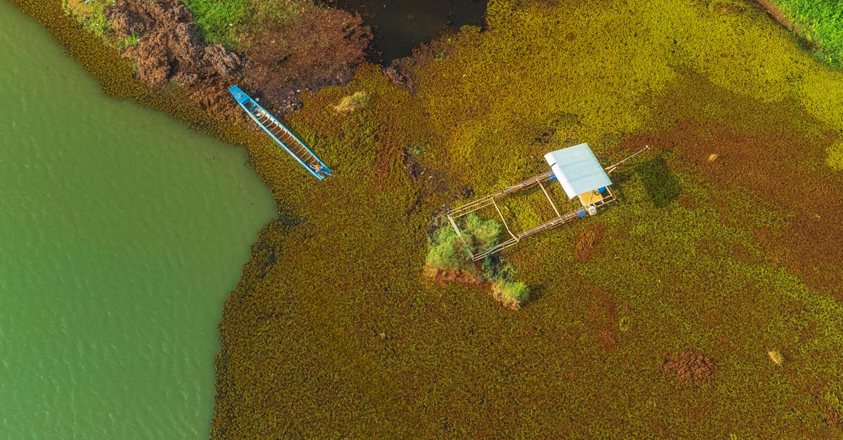 découvrez des conseils pratiques et inspirants pour adopter un mode de vie durable. apprenez à réduire votre empreinte écologique, à privilégier les produits écoresponsables et à intégrer des habitudes respectueuses de l'environnement dans votre quotidien.