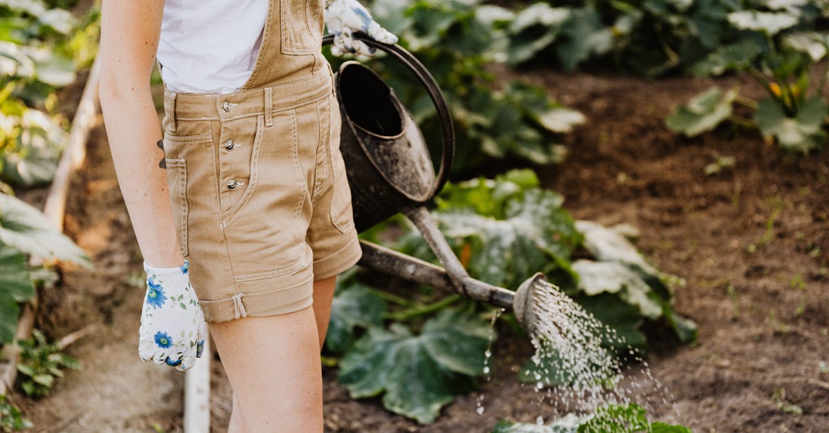 découvrez comment adopter un mode de vie durable avec des conseils pratiques et des astuces éco-responsables pour réduire votre empreinte écologique tout en préservant votre bien-être.